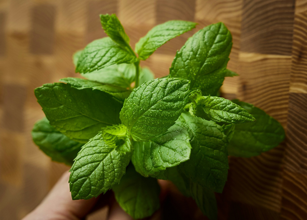 Фото: Max Griss on Unsplash