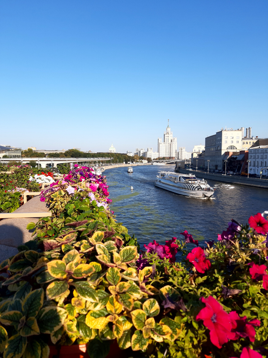 Лето 2025 в Москве. Фестивале «Сады и цветы». Гирлянды живых петуний на Большом Москворецком мосту.