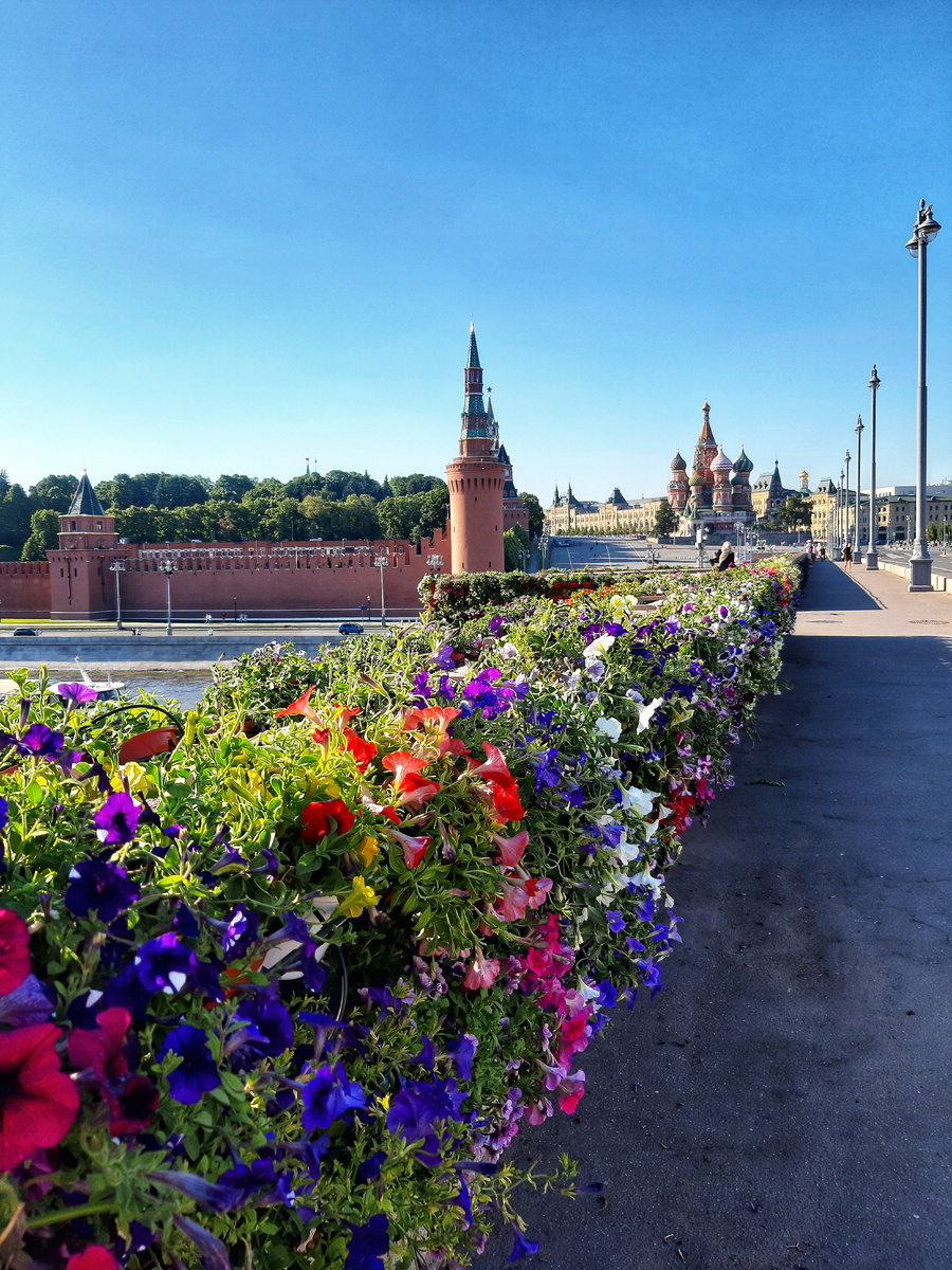 Лето 2025 в Москве. Фестивале «Сады и цветы». Гирлянды живых петуний на Большом Москворецком мосту.