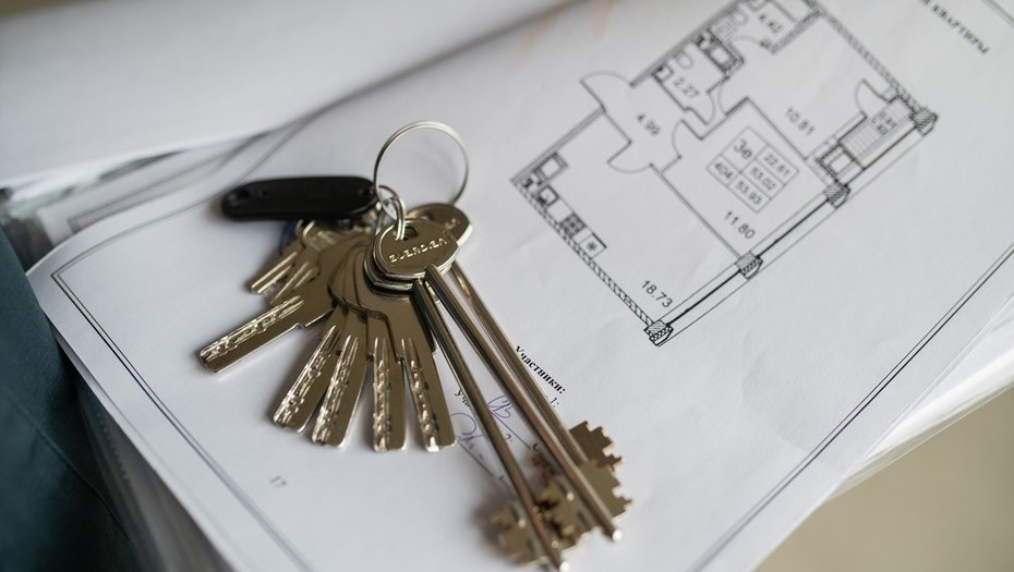    Автор фото: Ермохин Сергей/"ДП"