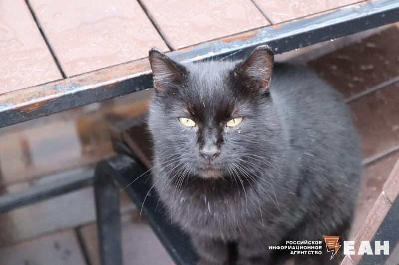    ЕАН. Архивное фото