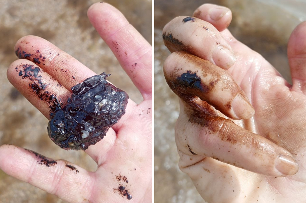    Фото © Абзац