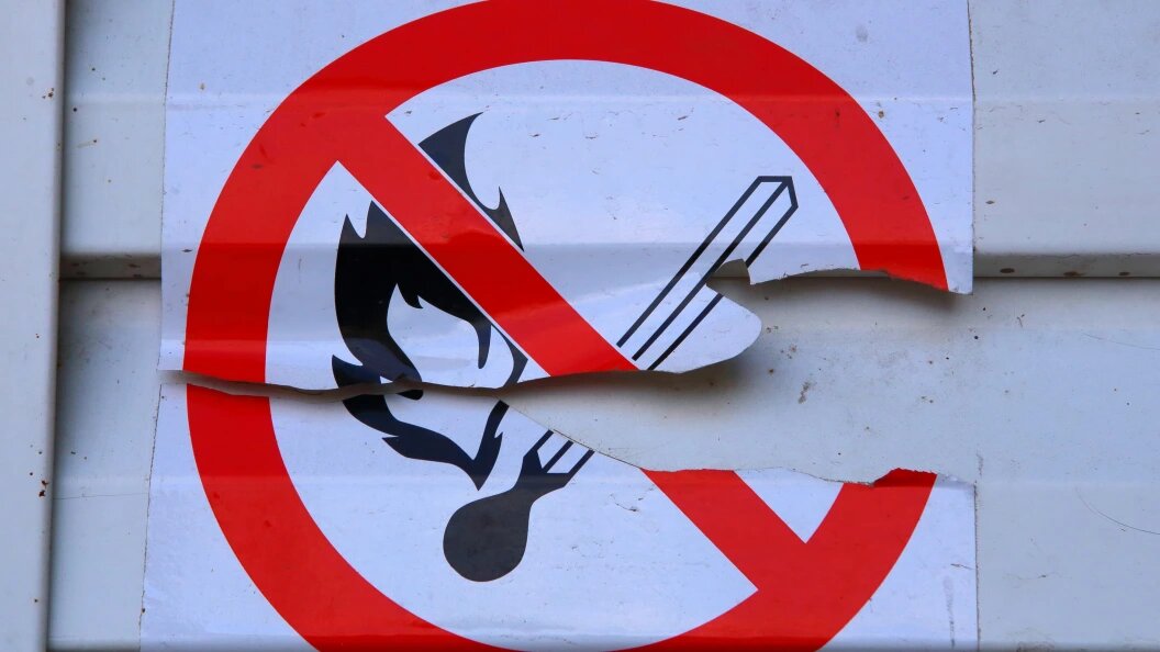    Zamir Usmanov/Global Look Press/Globallookpress