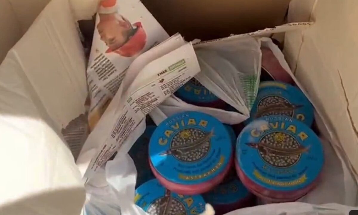    Фото t.me/mvd23krasnodar