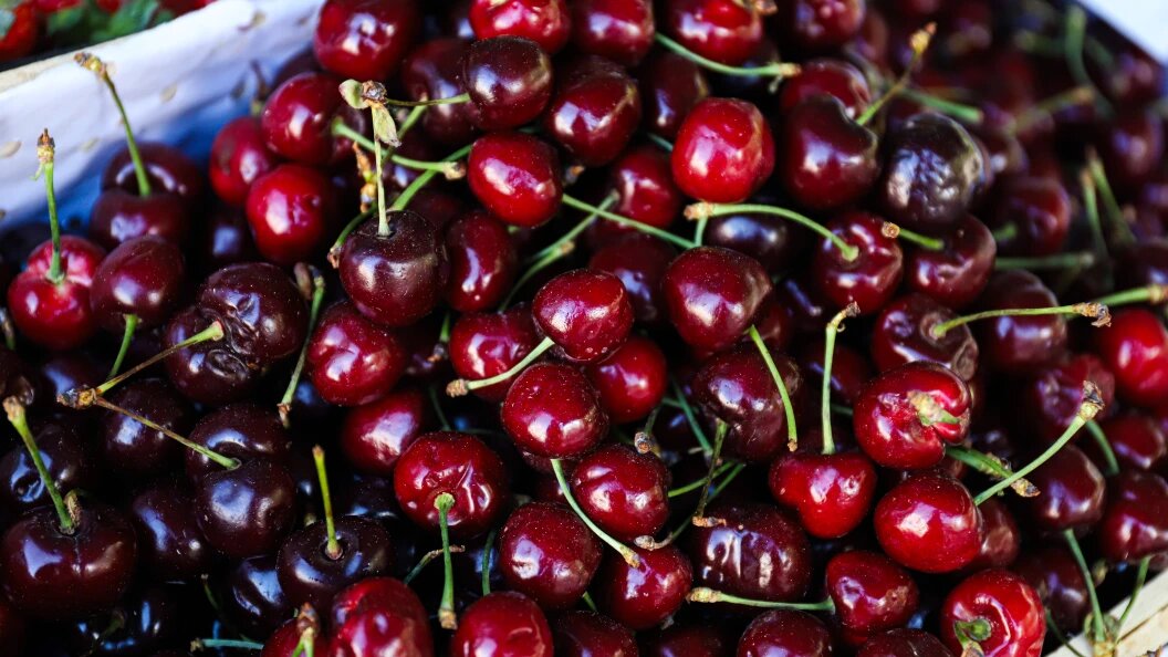    Razmik Zackaryan/URA.RU/Globallookpress