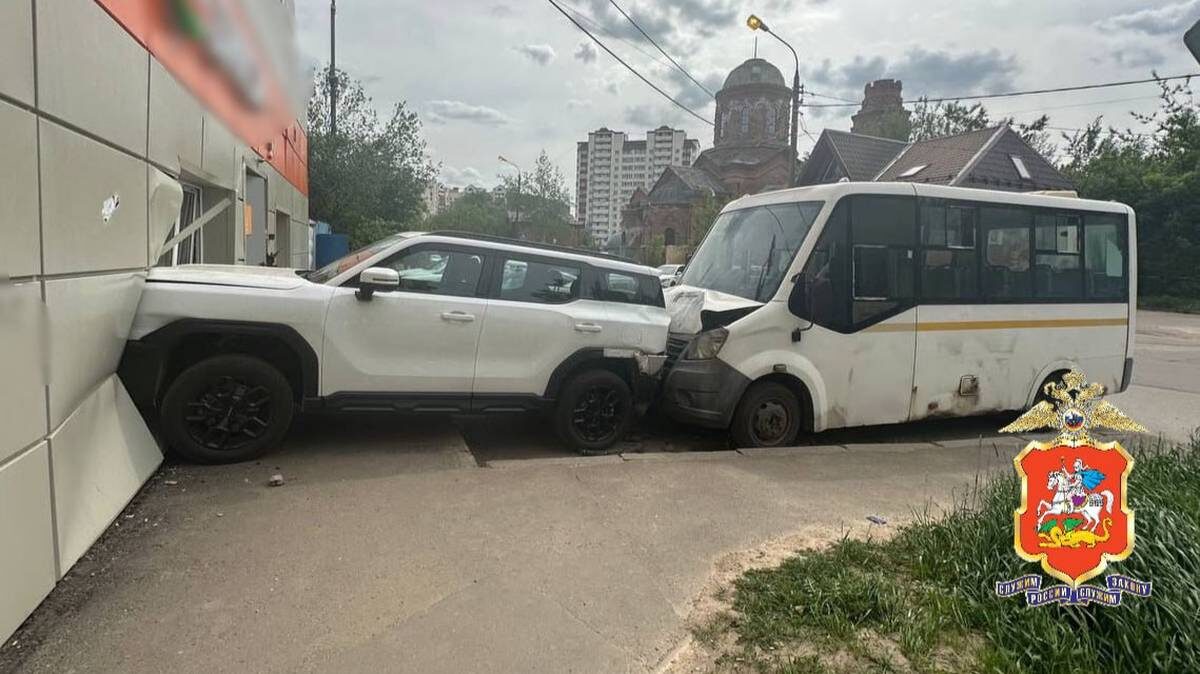    Фото: пресс-служба ГУ МВД России по Московской области / Telegram