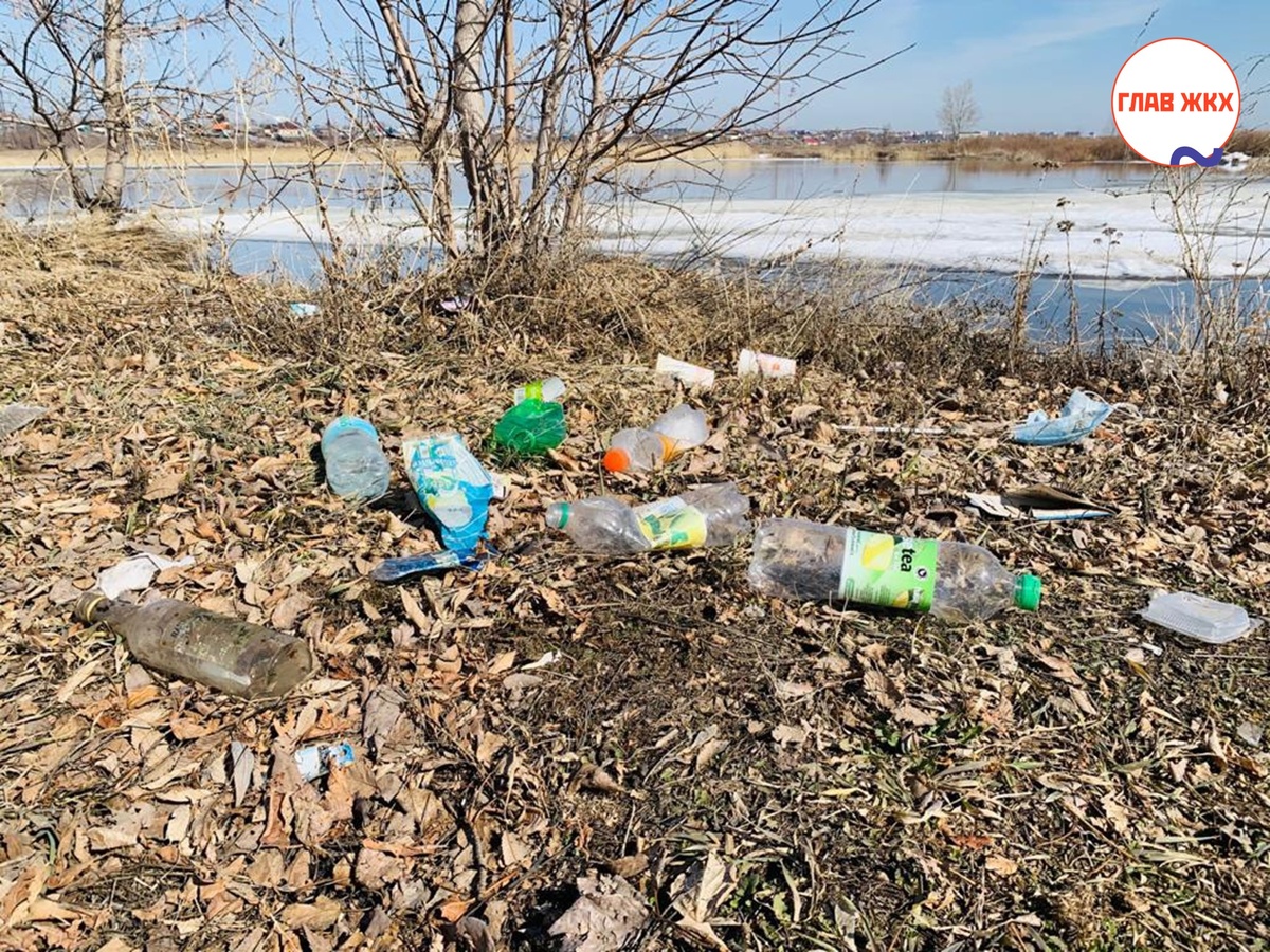 Штрафы за загрязнение водных объектов для граждан могут вырасти в разы

