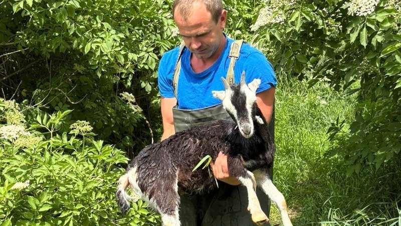      Фото: ПАСС СК