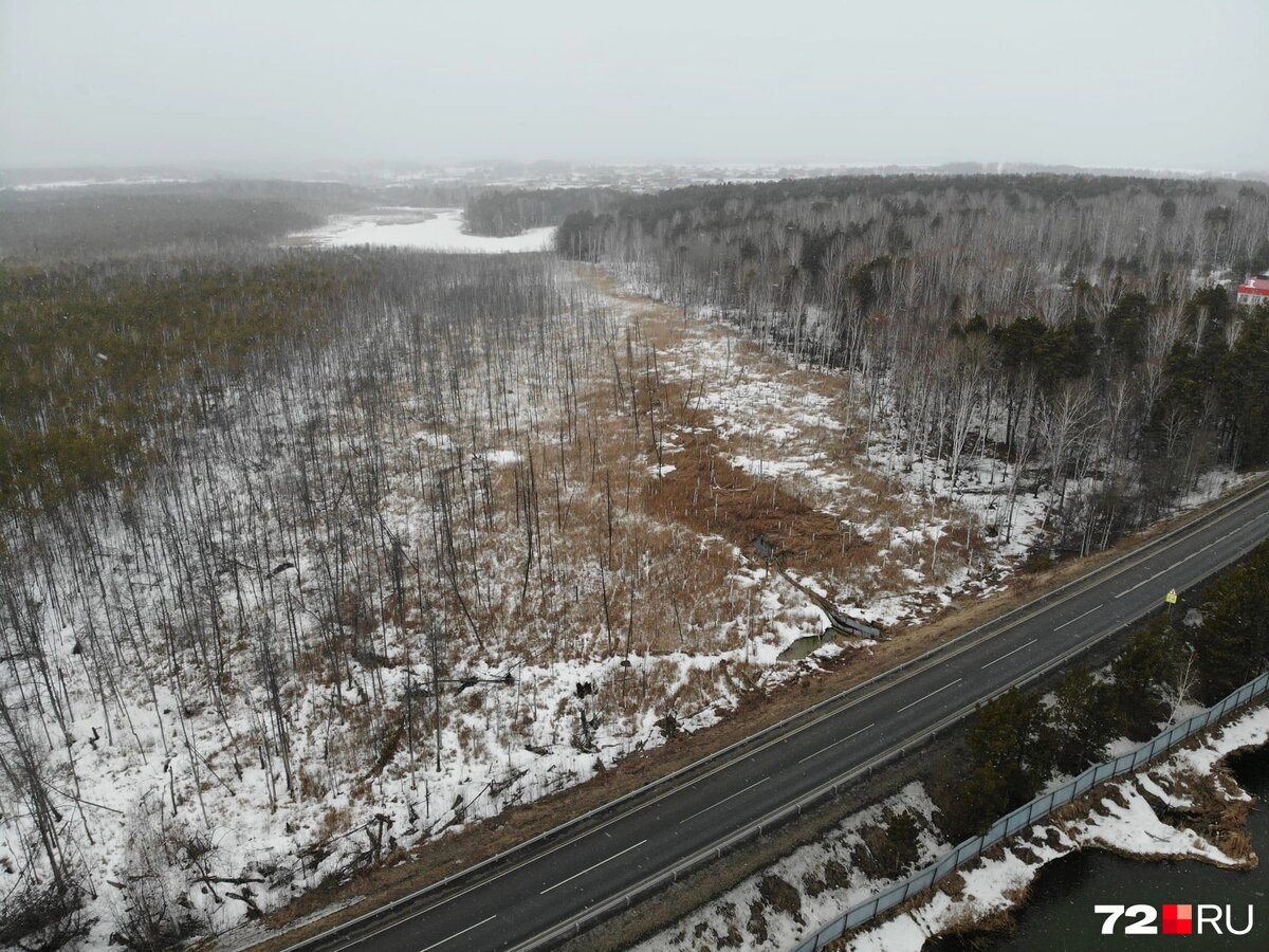Источник: Семён Громов