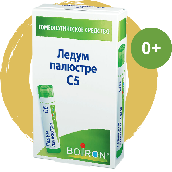 Ледум палюстре С5 (Буарон)