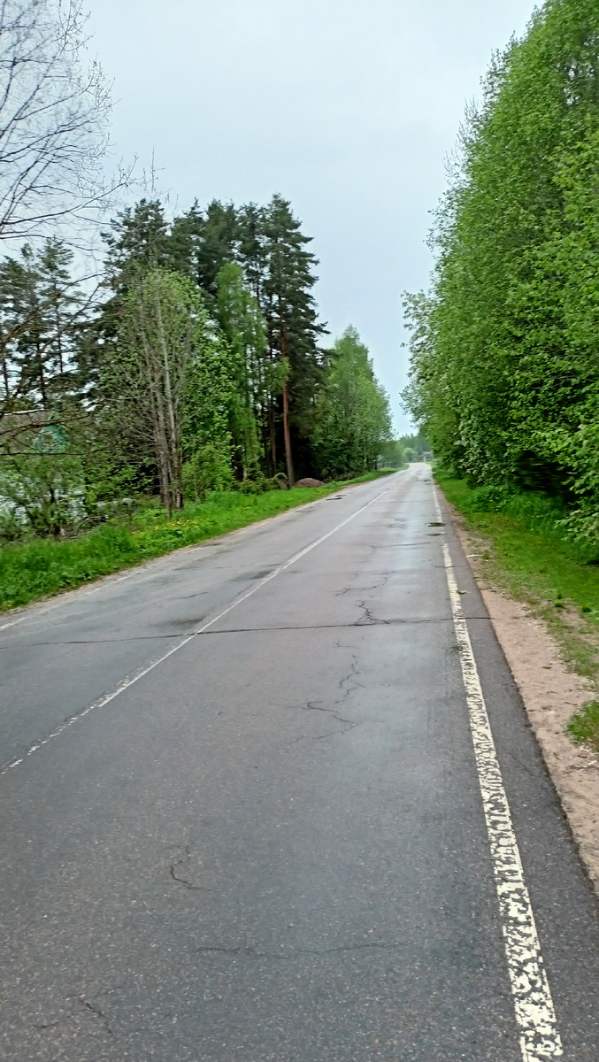 Фото автора. 16.40. Дача.