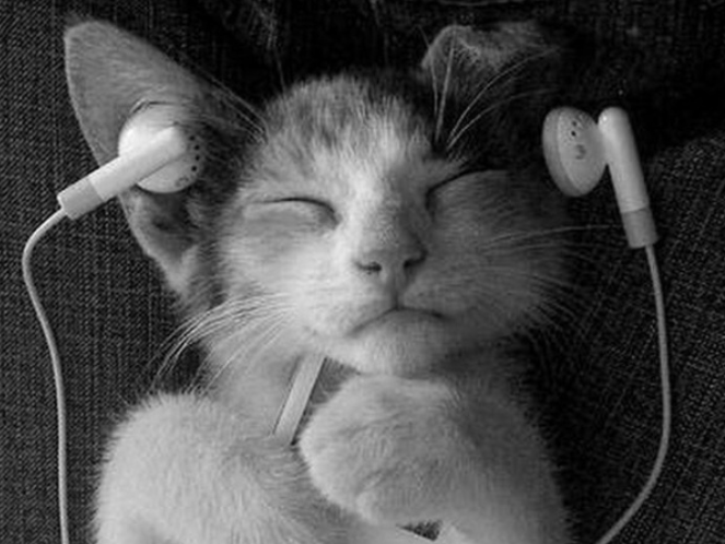 Представитель подрастающего поколения)