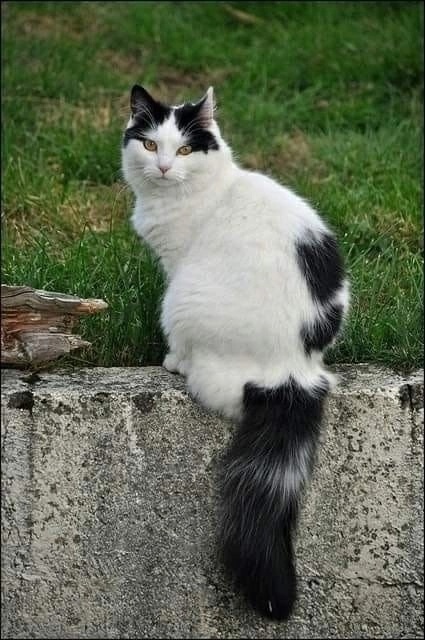 иллюстрация из яндекс картинки.