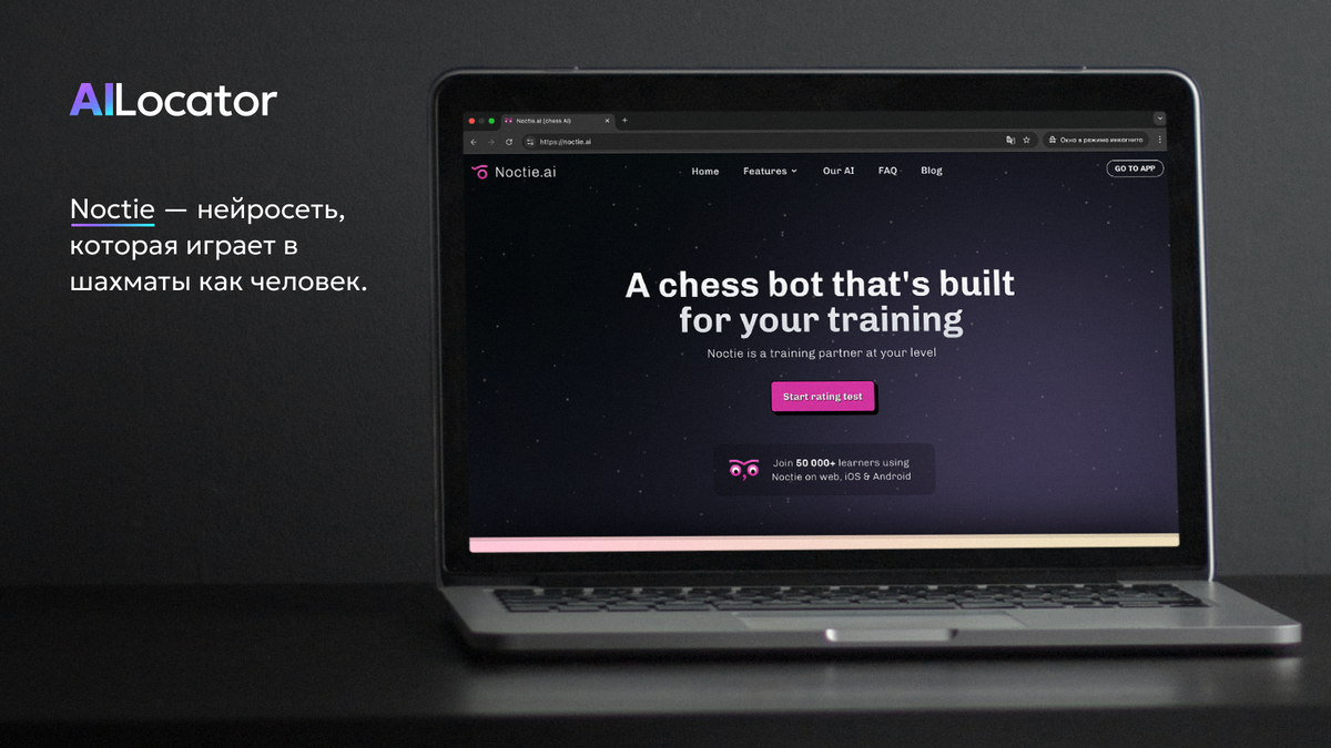 Официальный сайт Noctie