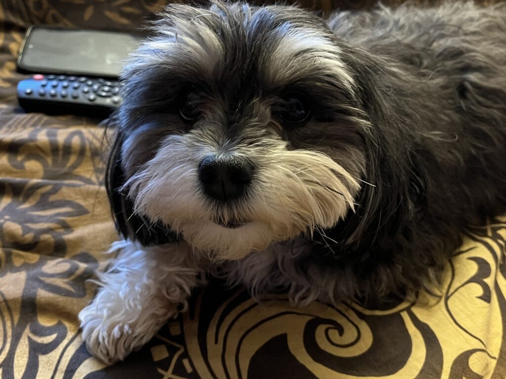    Фото: В курсе.ру Екатерина Устькачкинцева