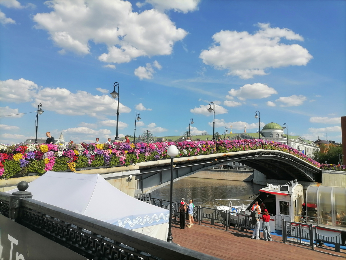 Стена из горшков с петуниями на Третьяковском мосту в Москве