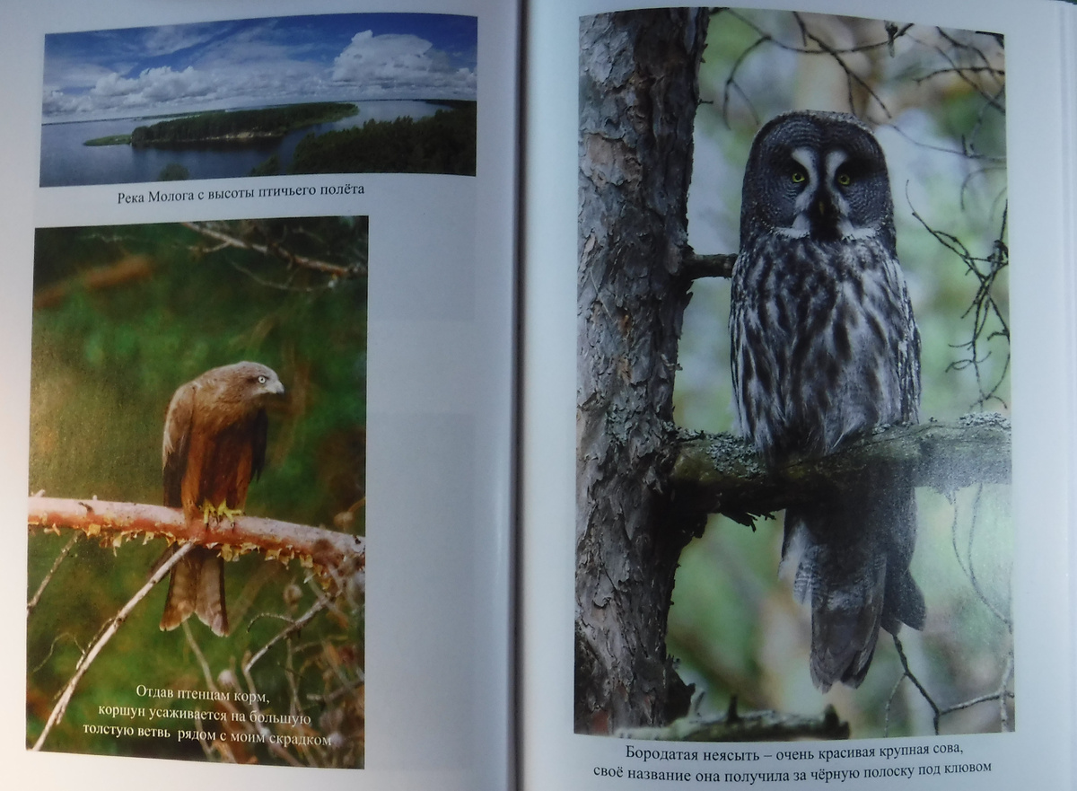 Страницы книги с фотографиями её автора