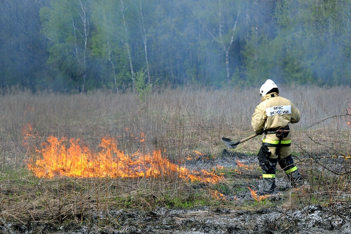 Фото: ИА "Регион 71"