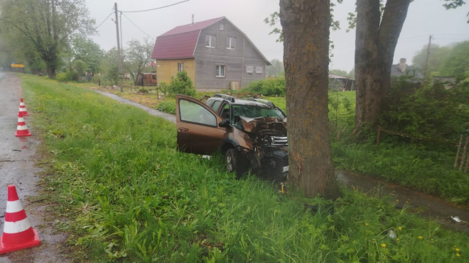 Фото: ГУ МВД по Петербургу и Ленинградской области