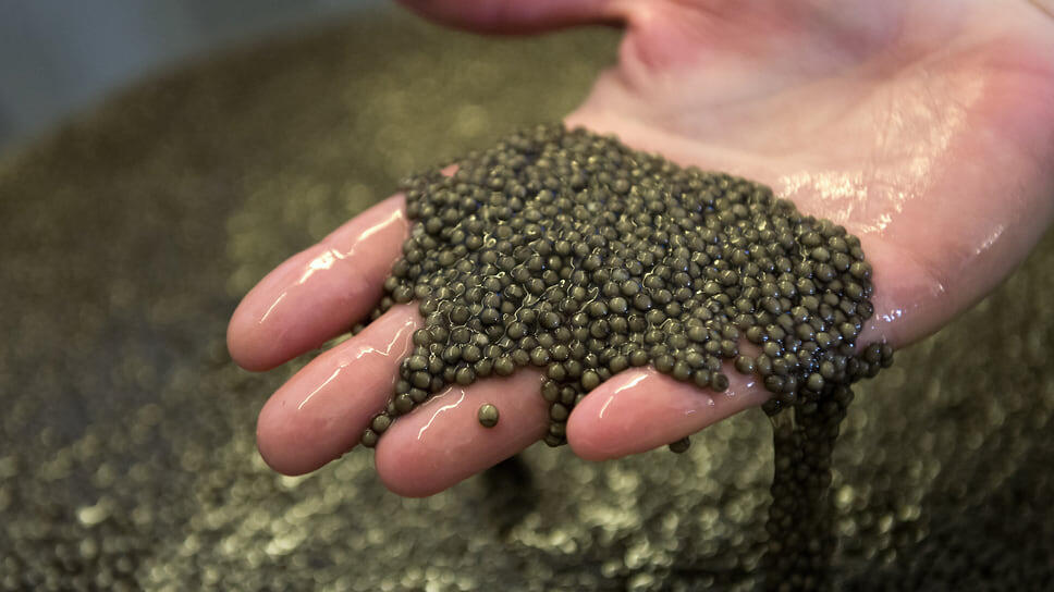 Фото: Максим Коротченко / Коммерсантъ