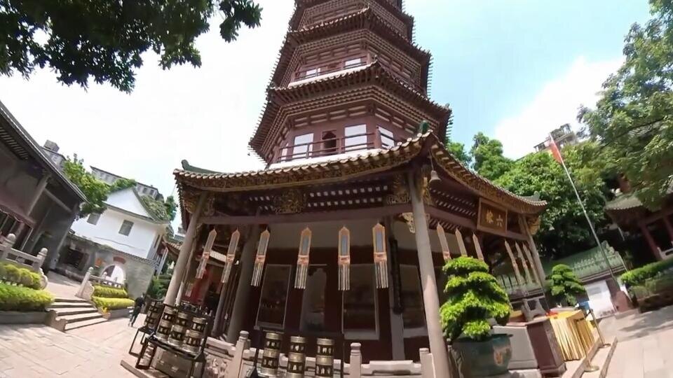 Фото: © Кадр из программы "Невероятно интересные истории", РЕН ТВ