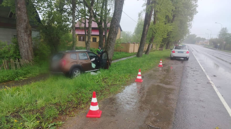 Фото: ГУ МВД по Петербургу и Ленобласти