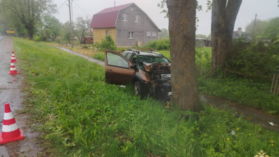 Фото: ГУ МВД по Петербургу и Ленобласти