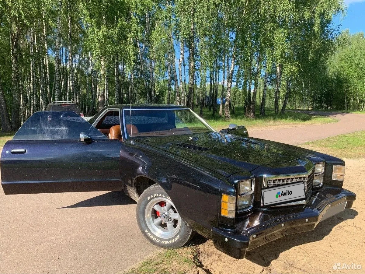 Фото: Avito  📷
