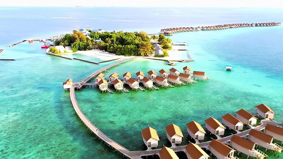 Фото: © Кадр из программы "Наука и техника", РЕН ТВ