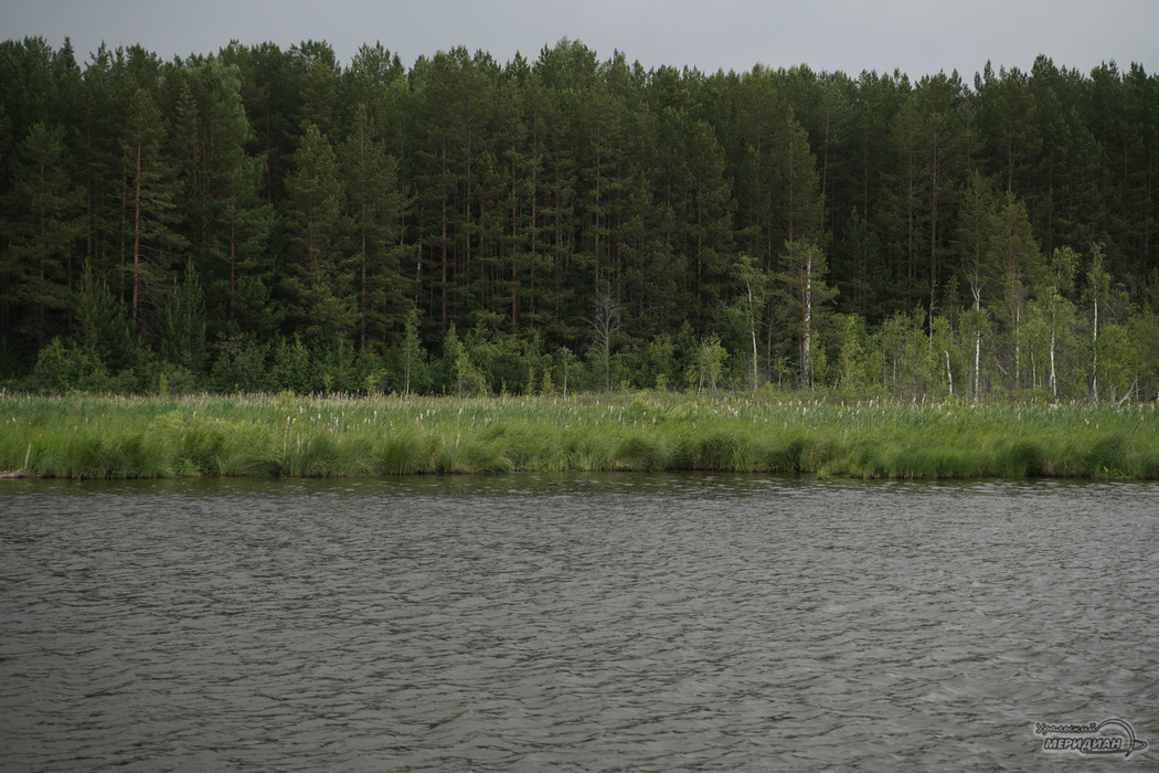    Фото: Лидия Аникина © ИА «Уральский меридиан»
