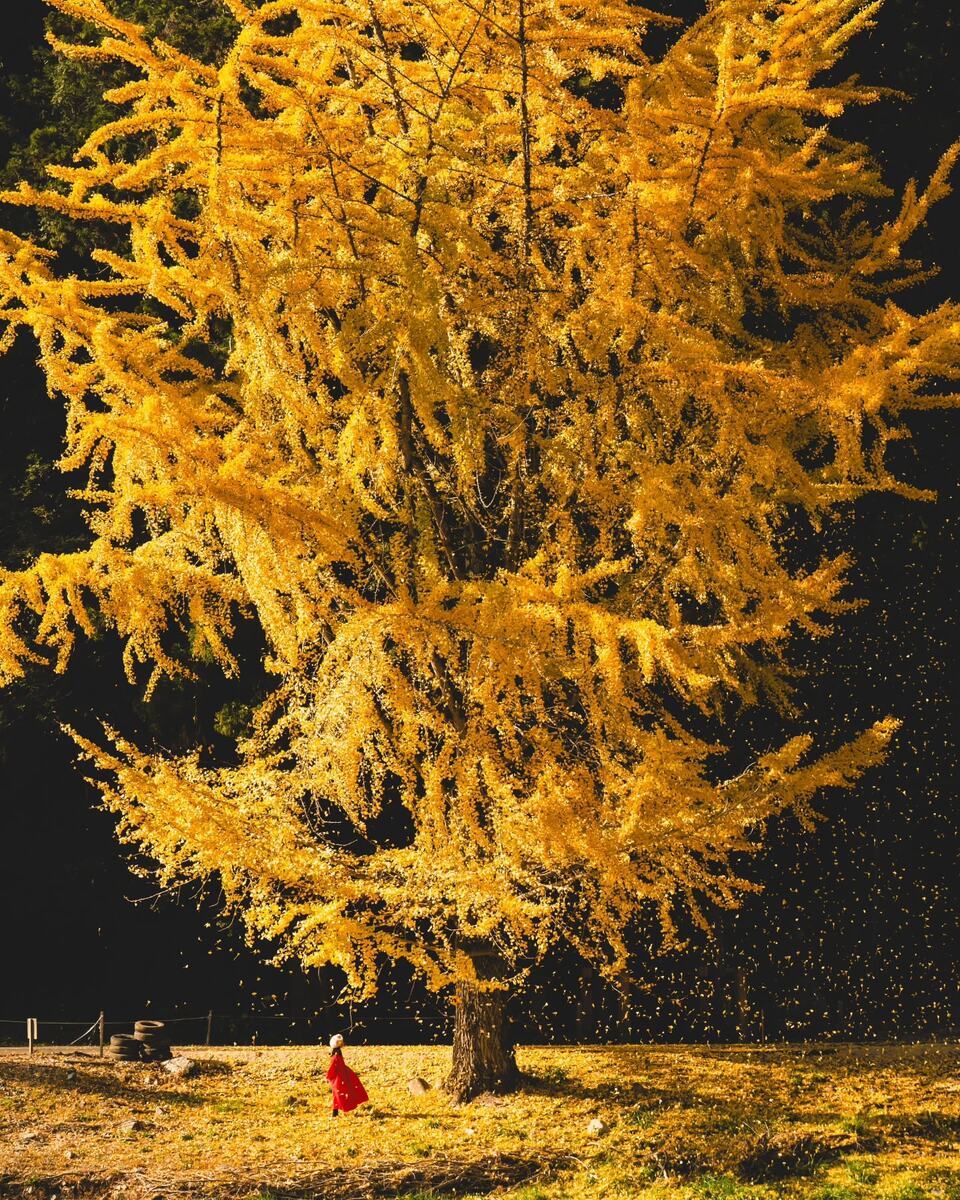 Фото: kaji_nori06