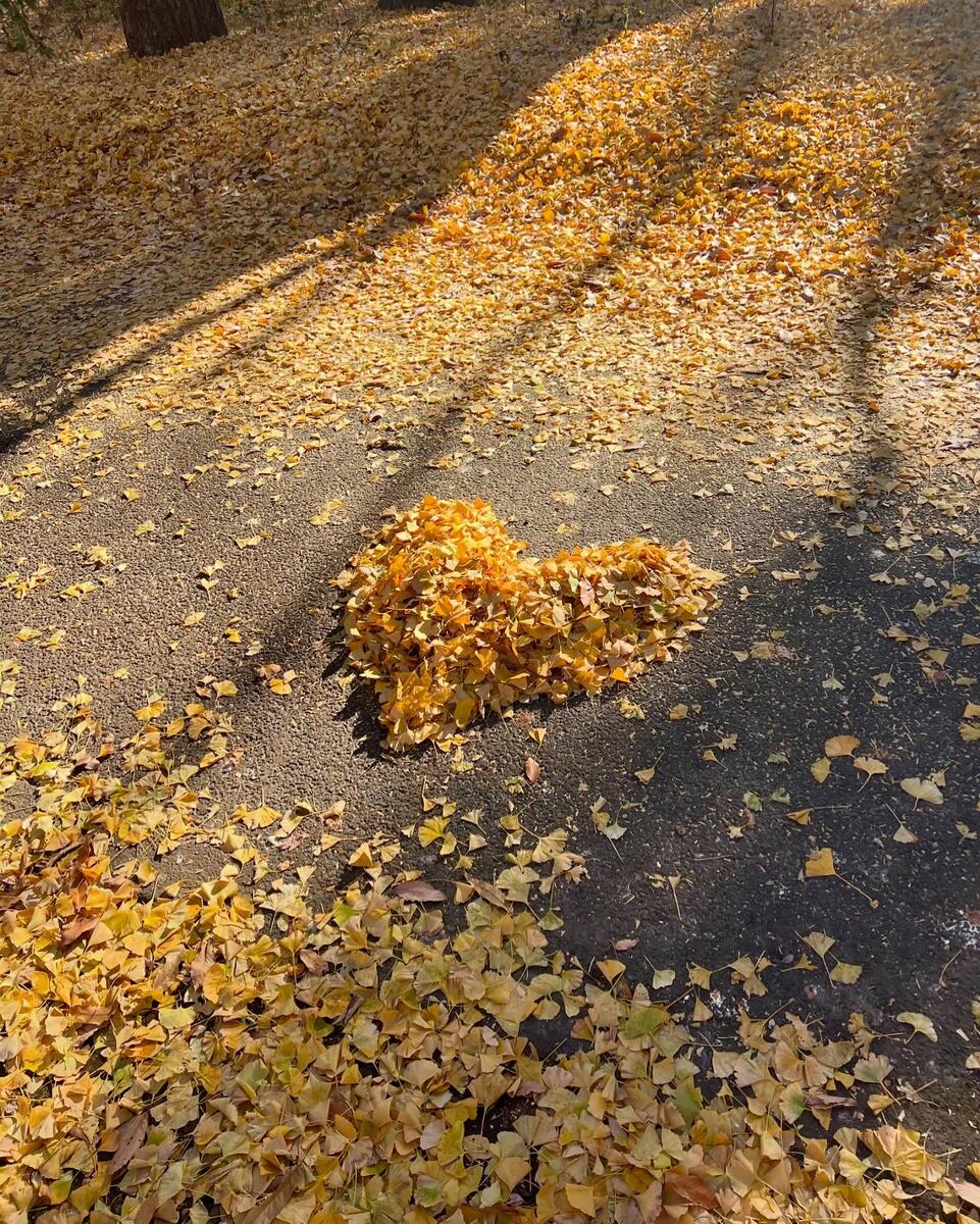 Фото: mariko2804