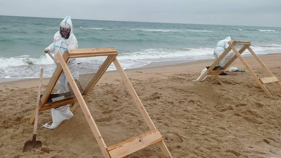 Фото: Оперативный штаб Краснодарского края