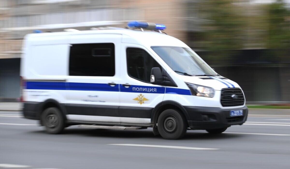     Полицейская машина. Источник: © РИА Новости Автор фото: Светлана Шевченко