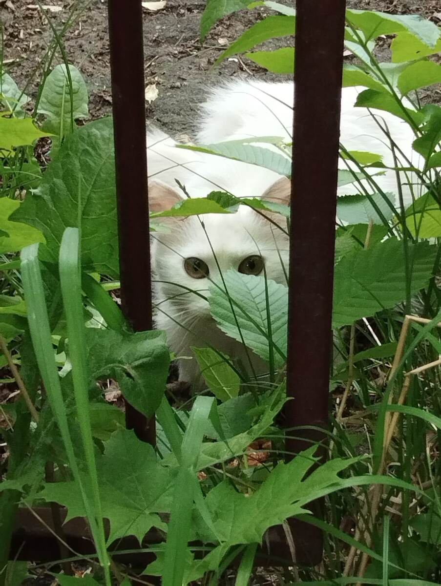 Я же отлично спряталась, да?