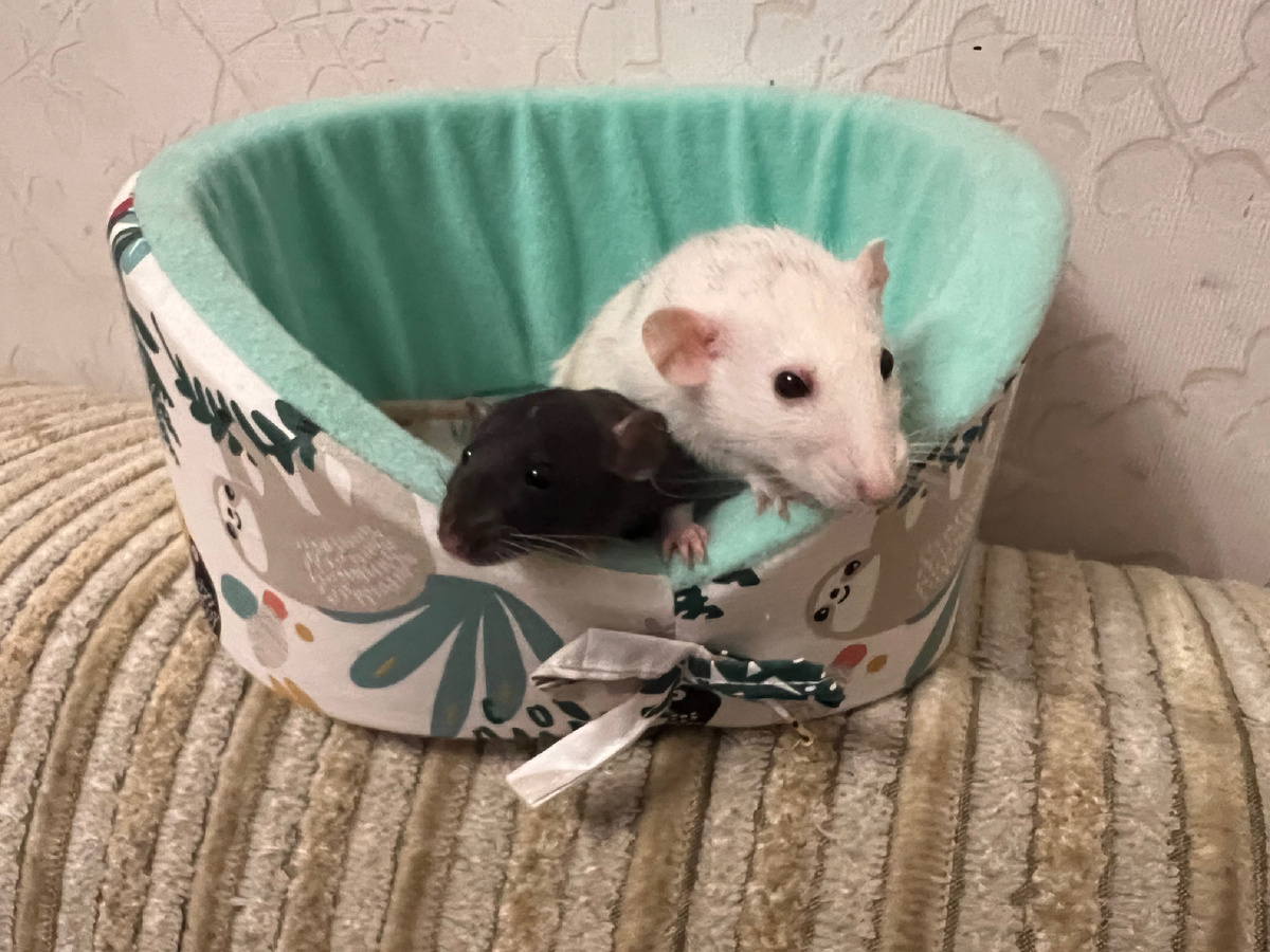 Бусенька, а там совсем маленькая Шуня.