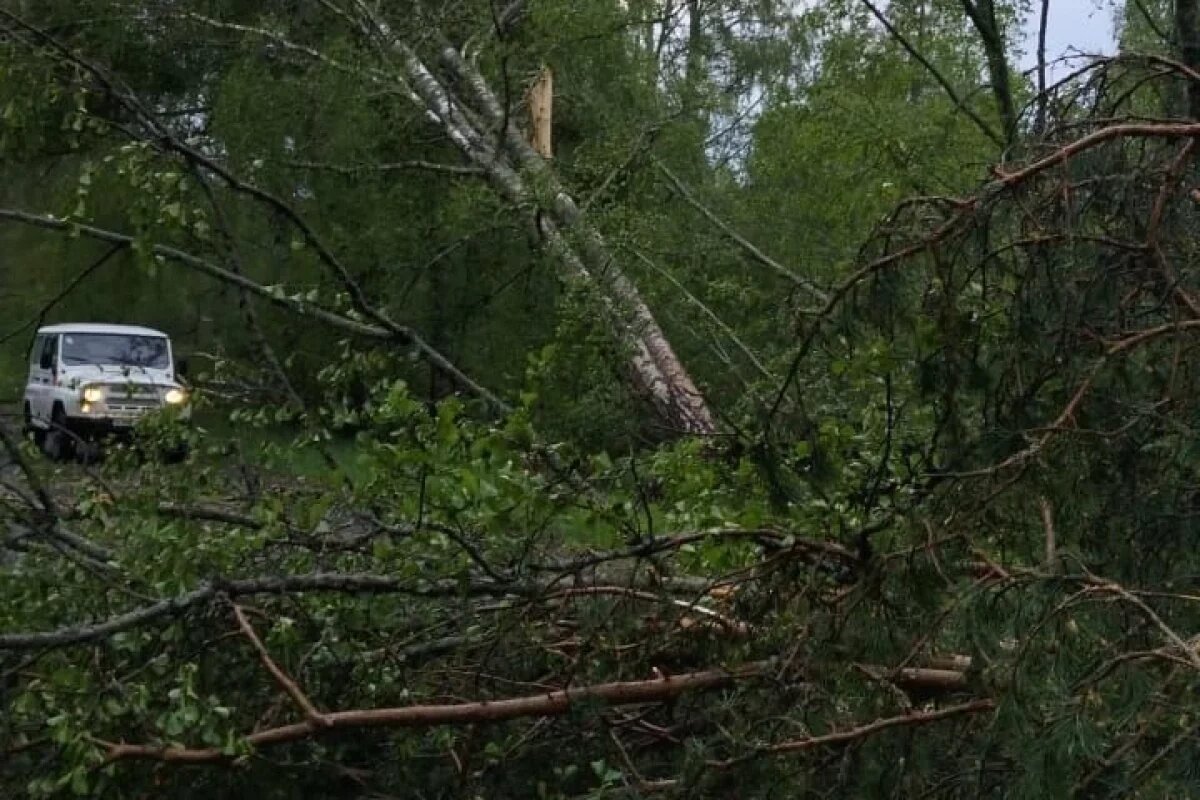    100 населенных пунктов Себежского района остались без света из-за непогоды