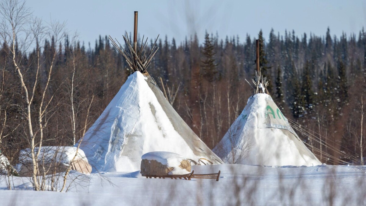    Фото: Федор Воронов/«Ямал-Медиа»