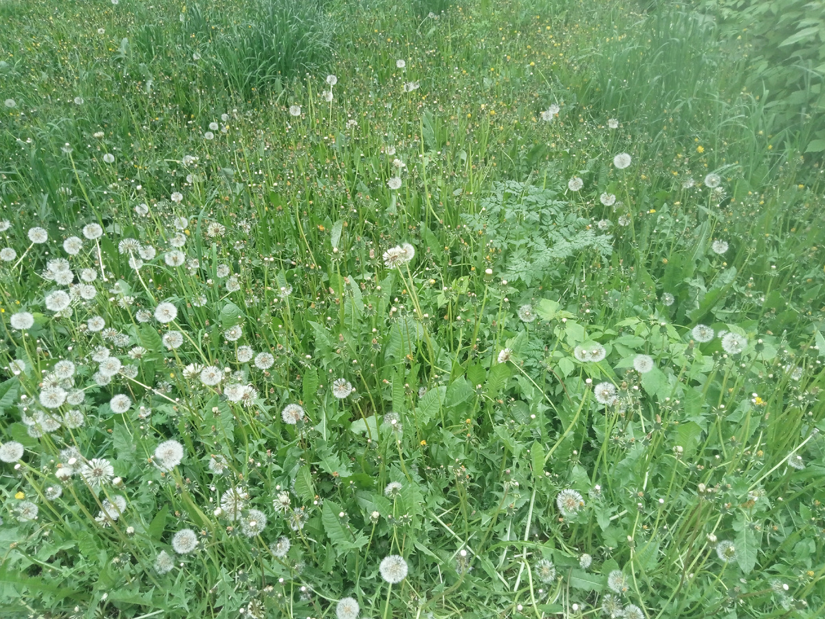 Они уже другие