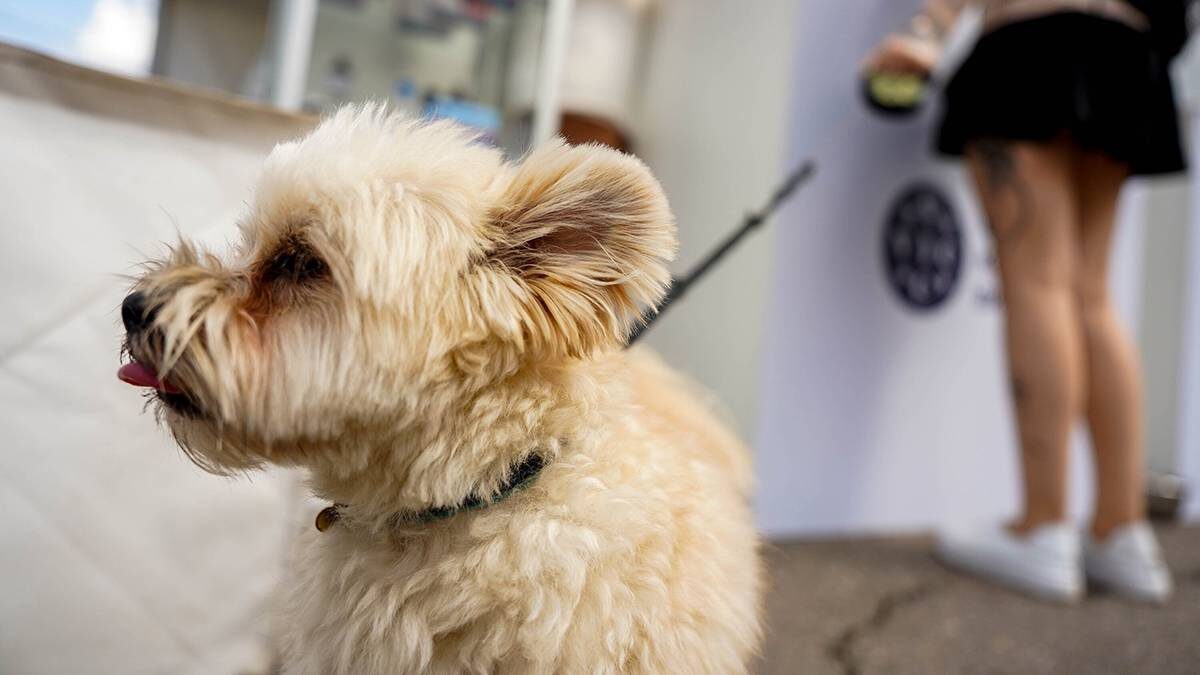    Фото: Александр Авилов / АГН Москва