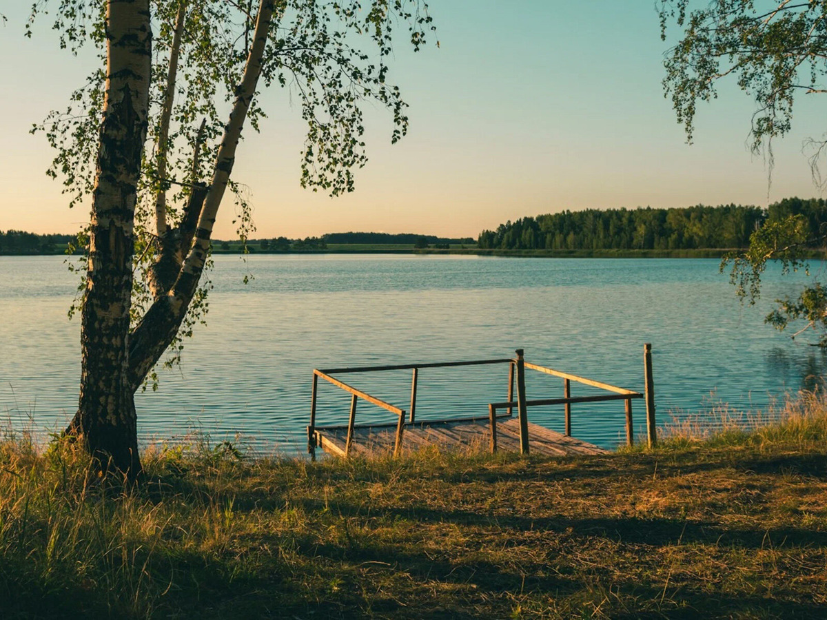 Фото: Alexander Sedelnikov / Unsplash