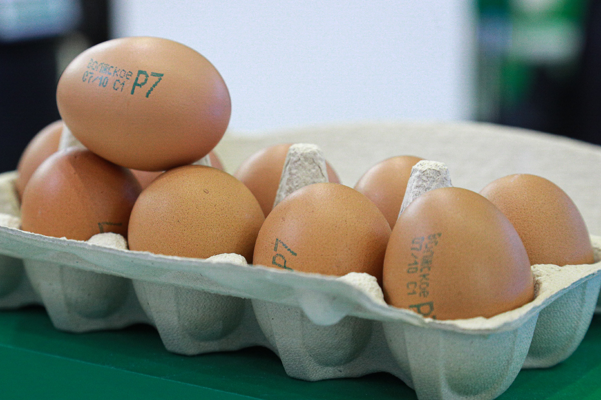 Фото: © Bulkin Sergey/ news.ru/ Global Look Press