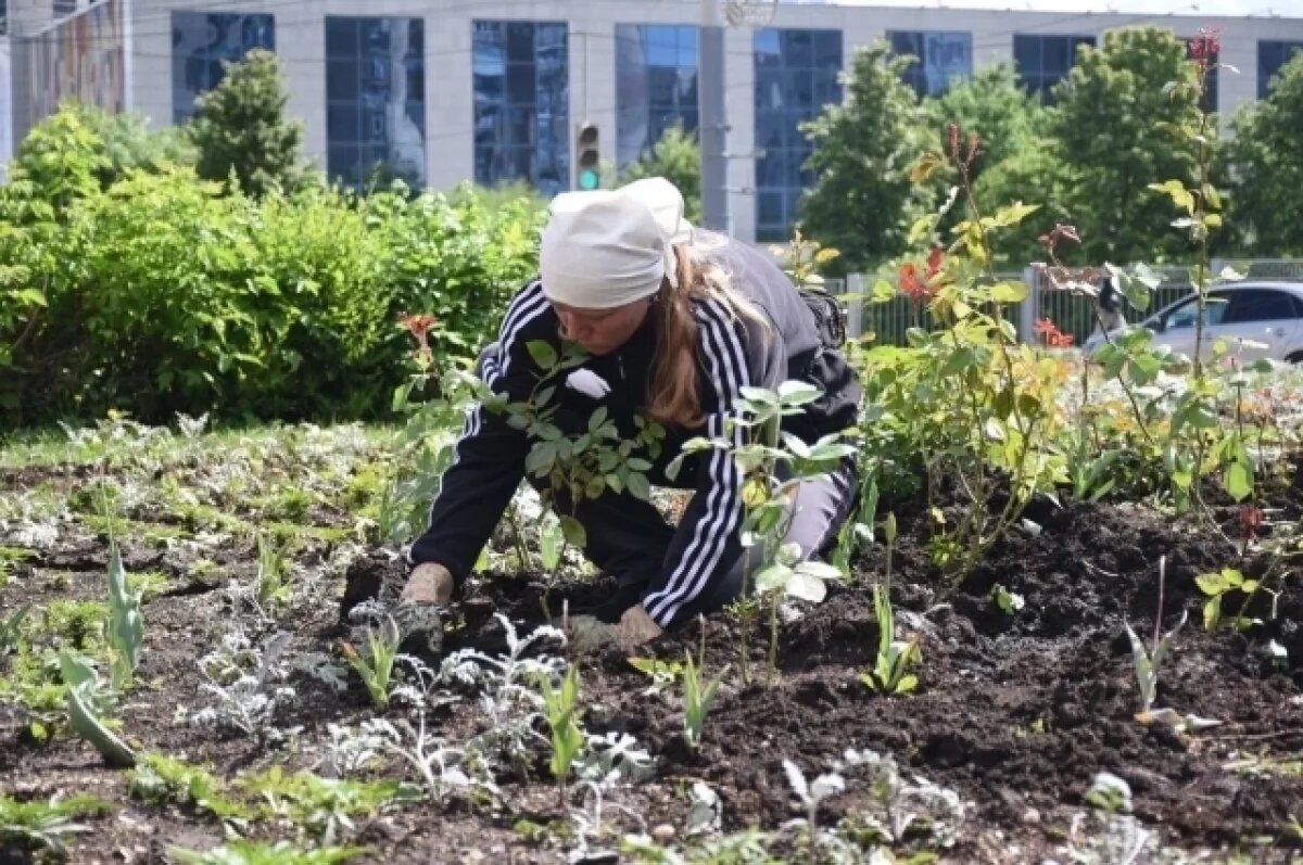    Возрождение «города цветов».