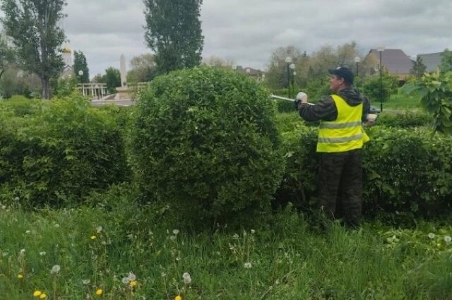    Фото: Администрация Оренбурга