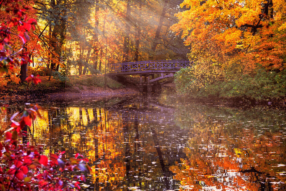 Стихи для детей и взрослых