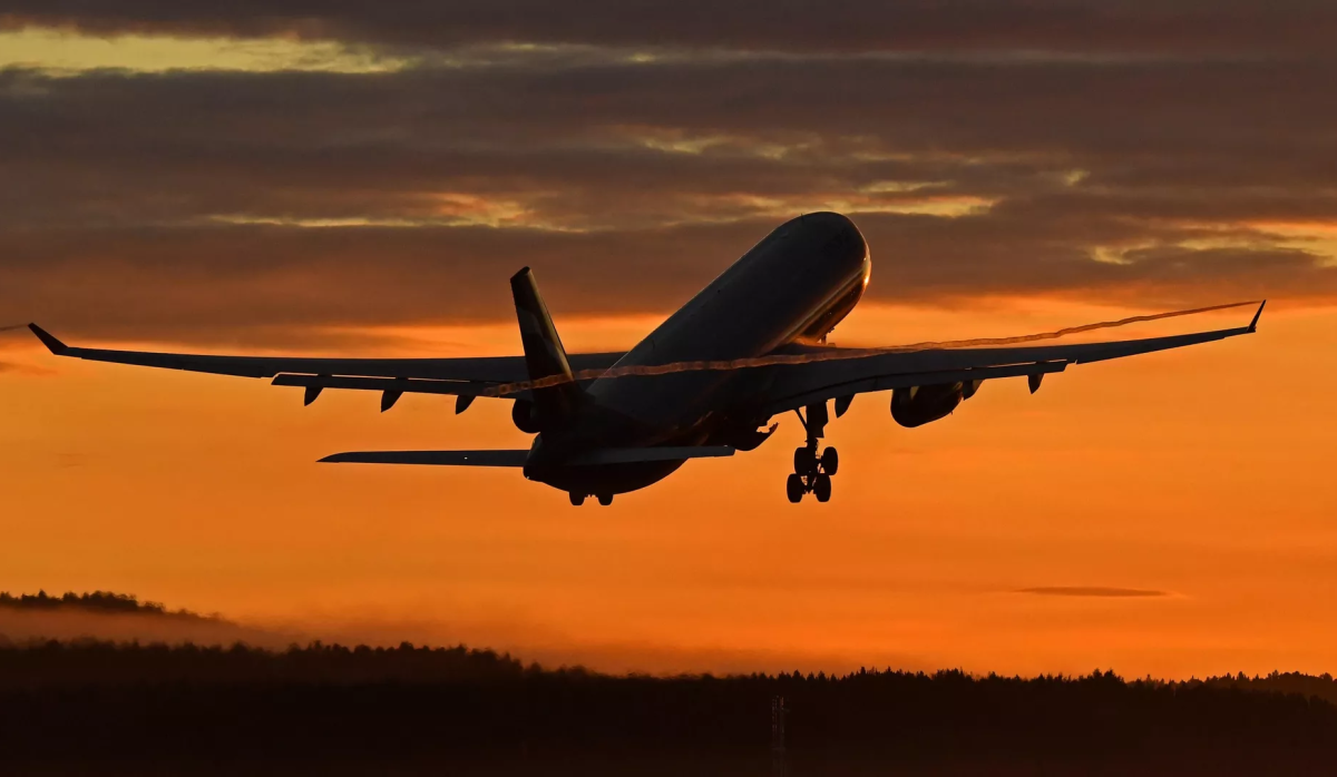     Самолёт в небе. Источник: © РИА Новости Автор фото: Илья Наймушин