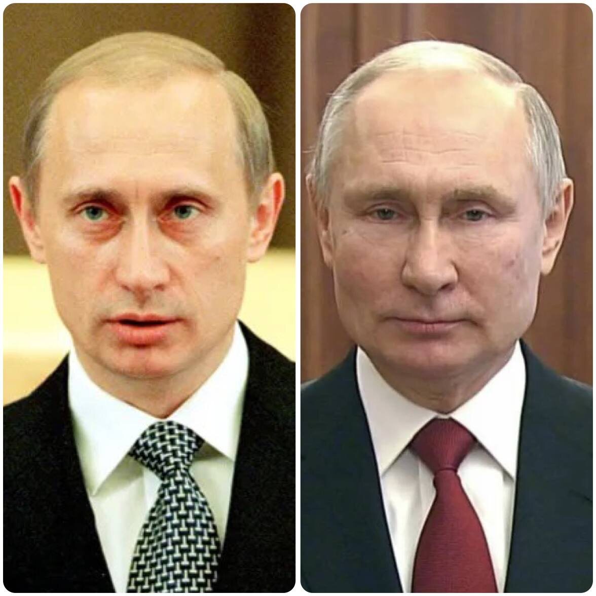 Фото взяты из открытых источников интернета