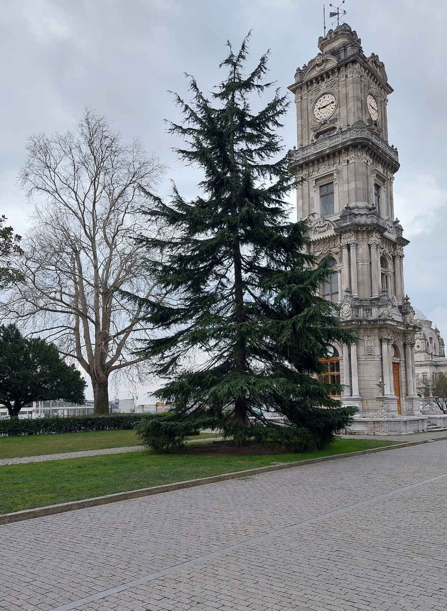 Долмабахче. Часовая башня