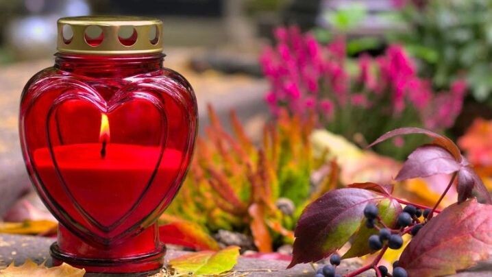    Фото: Tula L / Shutterstock / Fotodom