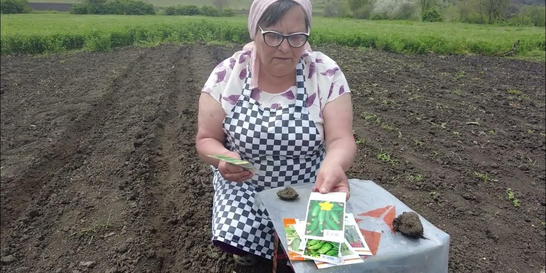 Новые правила для пенсионеров с землёй: что важно знать с 2025 года